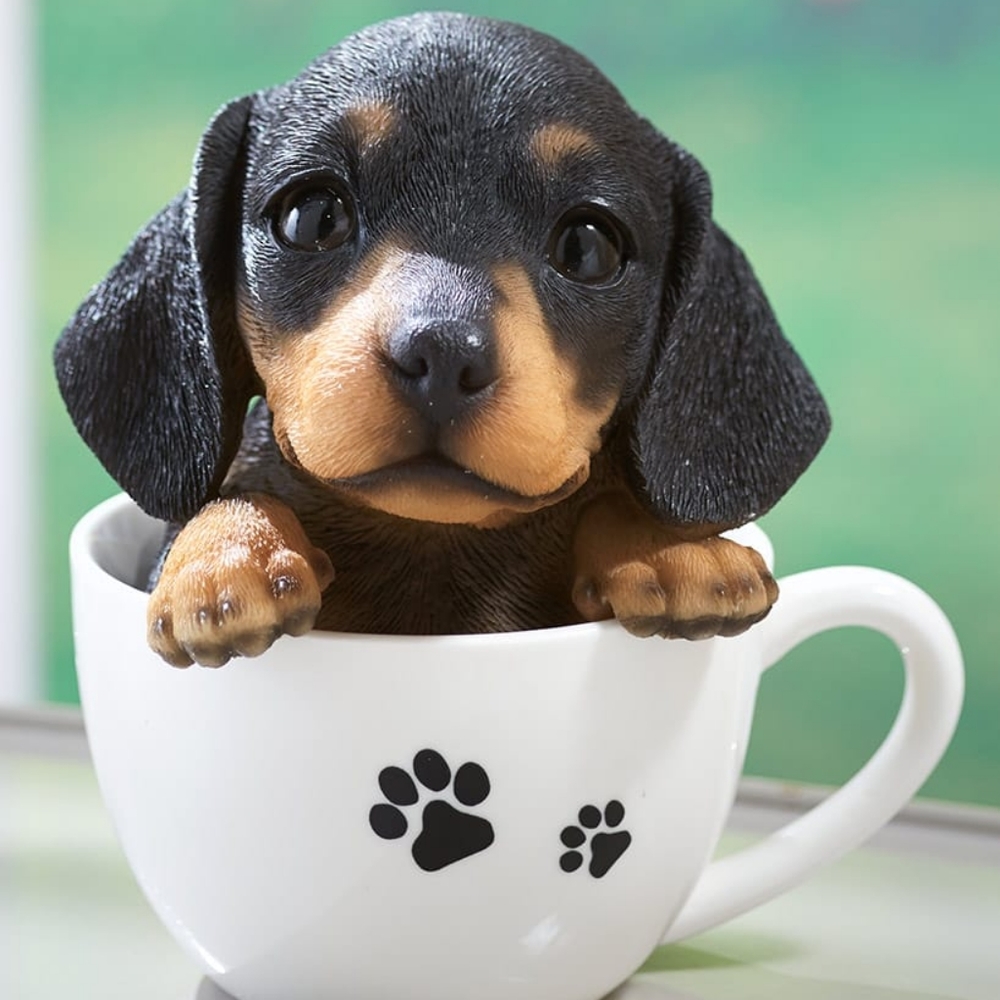 The Teacup Pup - Dachshund